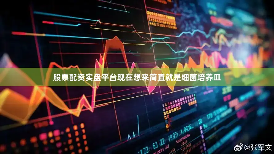股票配资实盘平台现在想来简直就是细菌培养皿